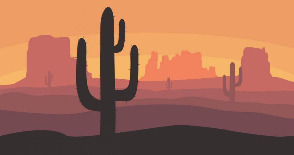 Desert landscape with cactus, hills and mountains silhouettes. Nature sunset on a background of a mountain landscape. Extreme tourism and travelling. Vector illustration